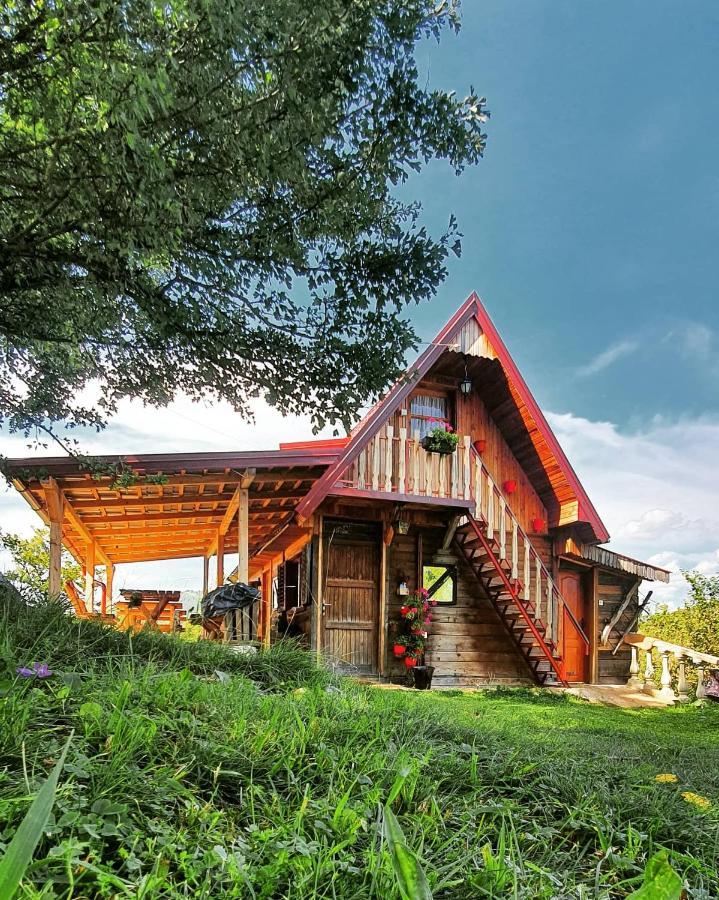 Log Cabin Uvac Nova Varos Luaran gambar
