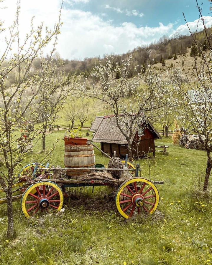 Log Cabin Uvac Nova Varos Bilik gambar