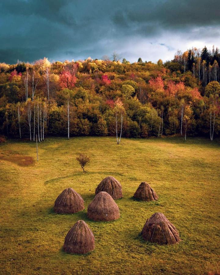 Log Cabin Uvac Nova Varos Luaran gambar