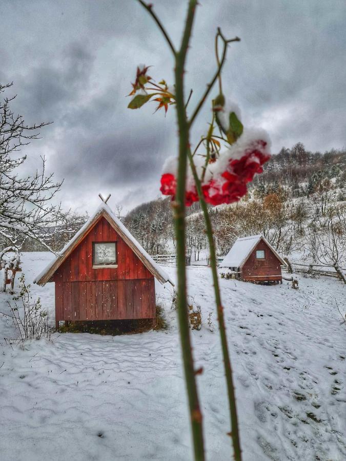 Log Cabin Uvac Nova Varos Luaran gambar
