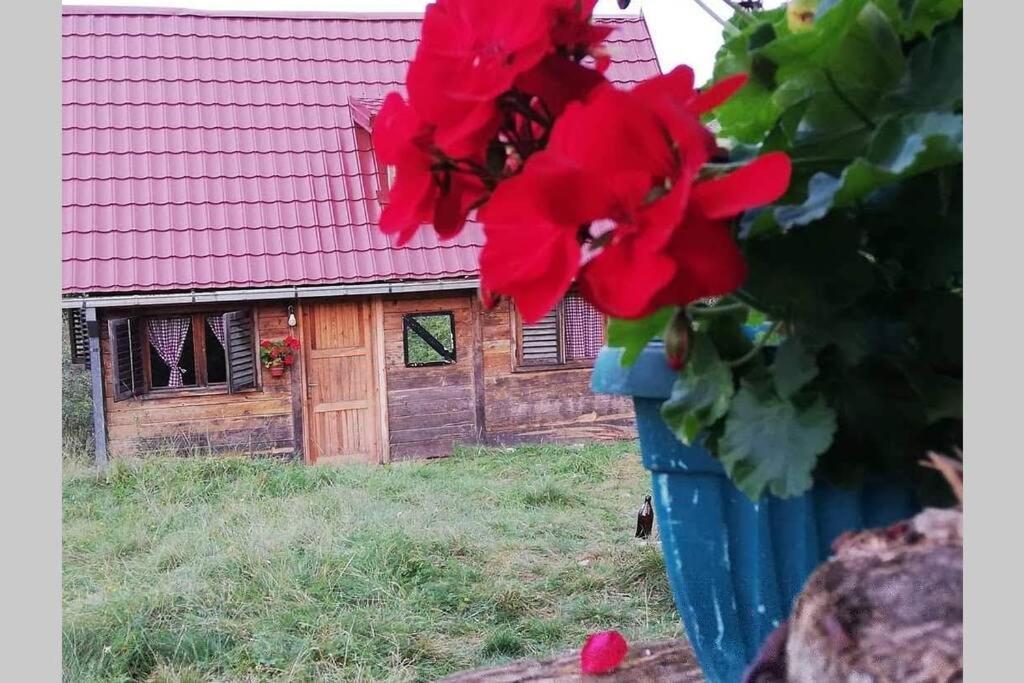 Log Cabin Uvac Nova Varos Luaran gambar